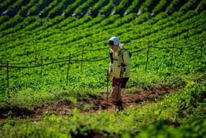 BIB: 
                            <button type="button" onclick="openModal(19161205)" class="btn btn-primary btn-sm float-right btn-popup" data-toggle="modal" data-target=".modal-high-quality">
                        <i class="fas fa-shopping-cart"></i> Add to Cart
                    </button>
                                            <button type="button" onclick="isThisMe(19161205, true)" class="btn btn-success btn-sm float-right btn-popup btn-isme hidden" data-toggle="tooltip" data-placement="bottom" title="นี่คือรูปของคุณใช่ไหม คลิกที่นี่เพื่อเอาเข้าอัลบั้ม">
                        <i class="fas fa-plus"></i> Add to album
                    </button>
                    <button type="button" onclick="isThisMe(19161205, false)" class="btn btn-warning btn-sm float-right btn-popup btn-isnotme hidden">
                        <i class="fas fa-ban"></i> Remove from album
                    </button>